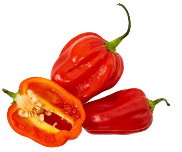 Habanero Chilies