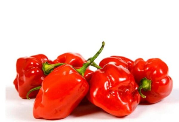Habanero Chilies